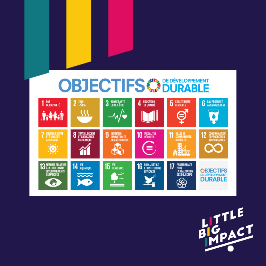 Les Objectifs de Développement Durable (ODD) de l’ONU intégrés dans les actions de Little Big Impact pour un avenir plus responsable.