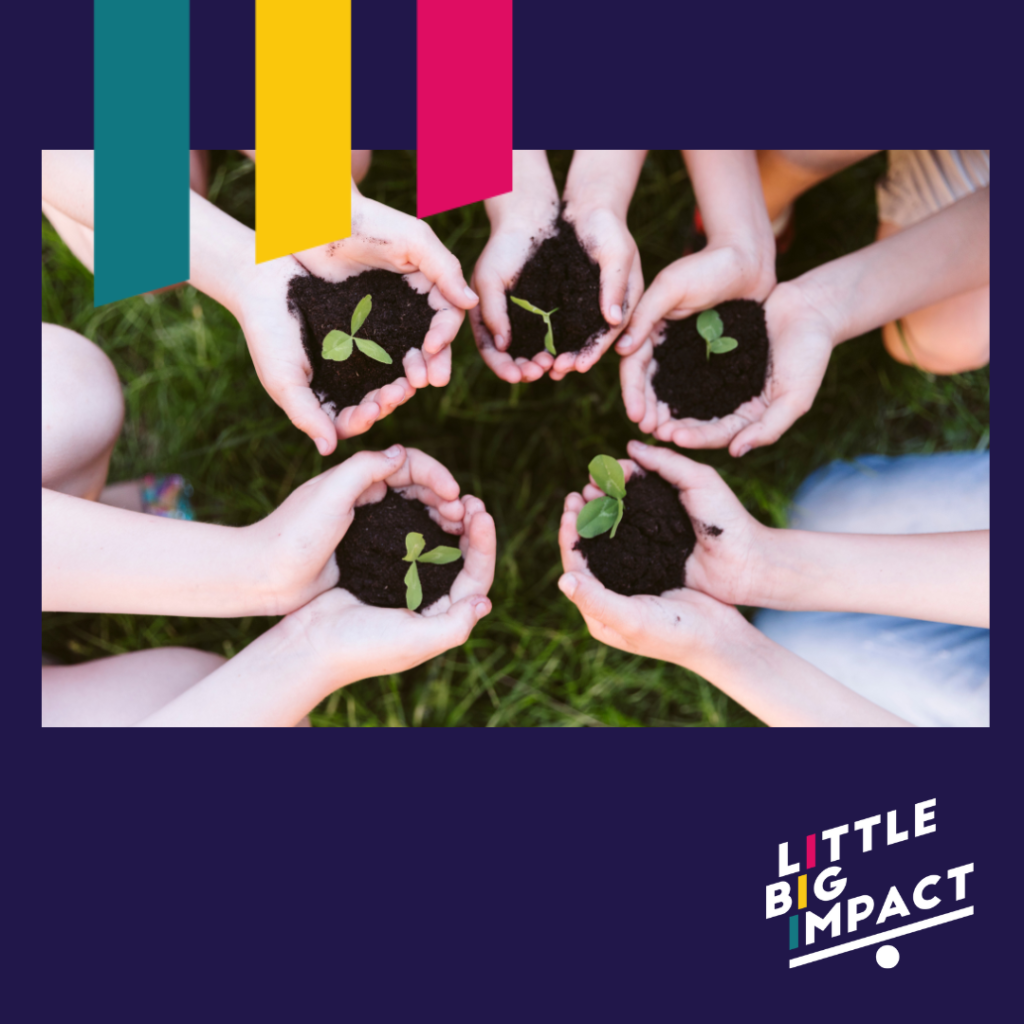 Symboles de la transition écologique : des mains tenant de jeunes pousses, représentant l’engagement de Little Big Impact pour un avenir durable.